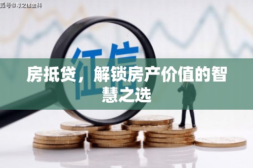 泰武房抵贷，解锁房产价值的智慧之选