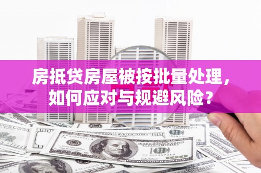 汤阴房抵贷房屋被按批量处理，如何应对与规避风险？