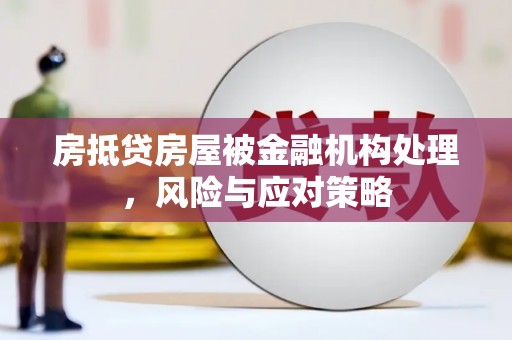 惠水房抵贷房屋被金融机构处理，风险与应对策略