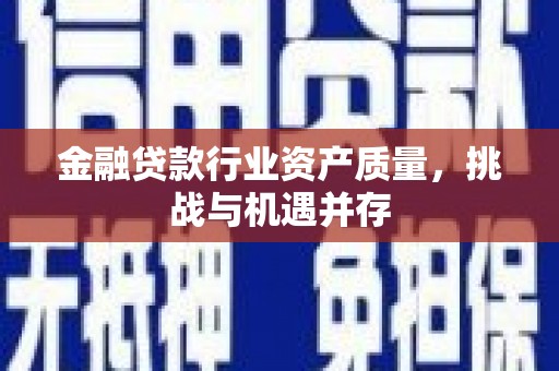青山湖金融贷款行业资产质量，挑战与机遇并存