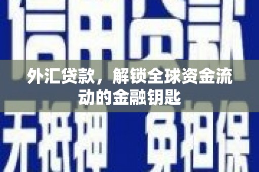 青山湖外汇贷款，解锁全球资金流动的金融钥匙