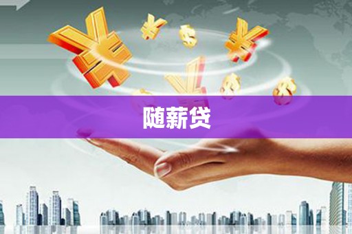 临泉随薪贷