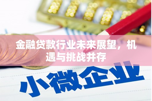华容金融贷款行业未来展望，机遇与挑战并存