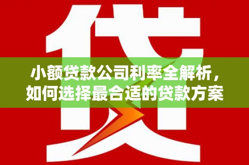 和县小额贷款公司利率全解析，如何选择最合适的贷款方案