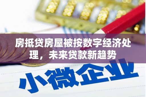 海晏房抵贷房屋被按数字经济处理，未来贷款新趋势