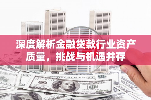 临武深度解析金融贷款行业资产质量，挑战与机遇并存