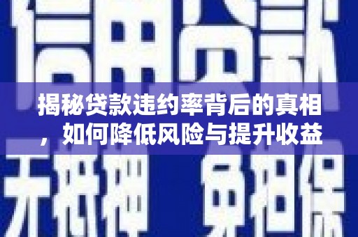岢岚揭秘贷款违约率背后的真相，如何降低风险与提升收益