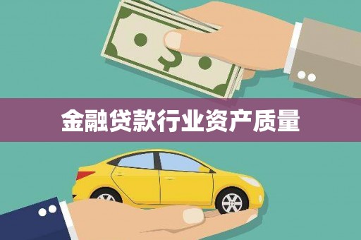 泸溪金融贷款行业资产质量
