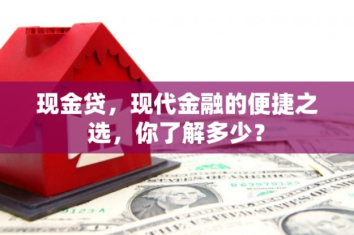 瑞安现金贷，现代金融的便捷之选，你了解多少？