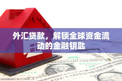 红寺堡外汇贷款，解锁全球资金流动的金融钥匙