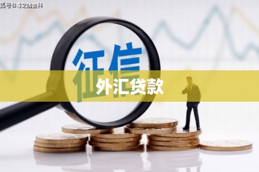 晴隆外汇贷款