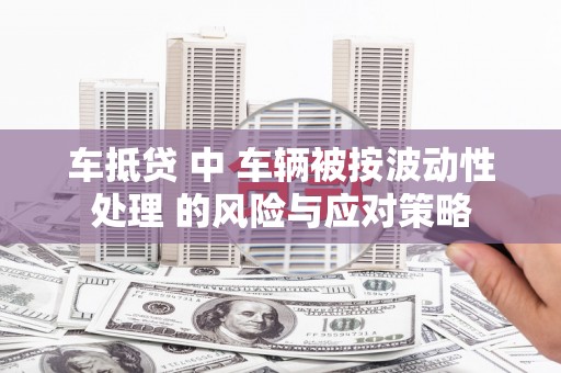 化州车抵贷 中 车辆被按波动性处理 的风险与应对策略