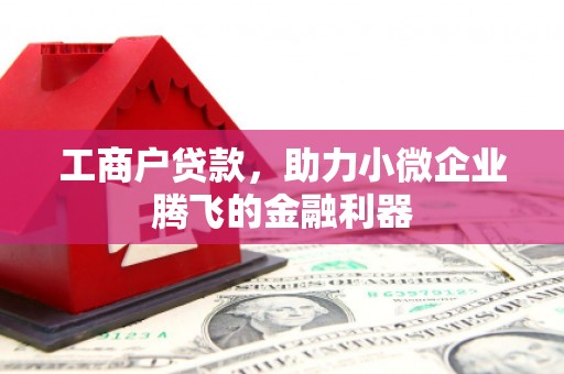 赤坎工商户贷款，助力小微企业腾飞的金融利器