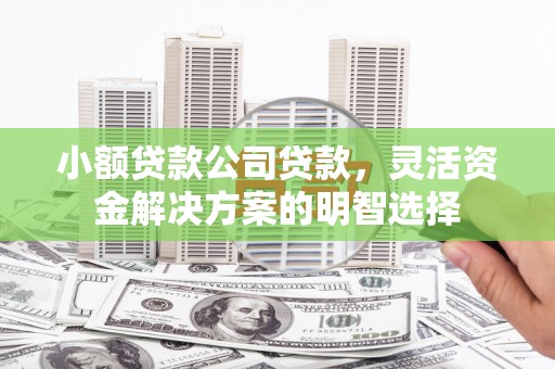 馆陶小额贷款公司贷款，灵活资金解决方案的明智选择