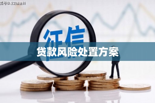 安源贷款风险处置方案