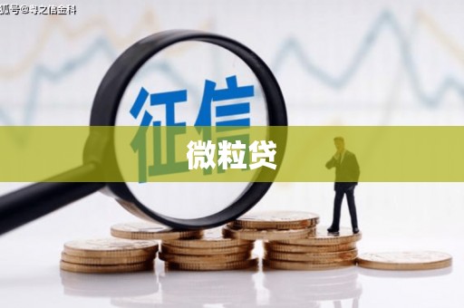 东台微粒贷