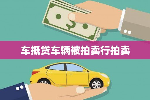 风顺堂区车抵贷车辆被拍卖行拍卖