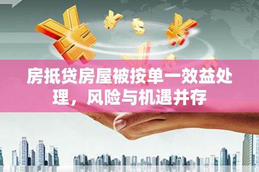 七里河房抵贷房屋被按单一效益处理，风险与机遇并存