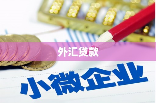 建瓯外汇贷款