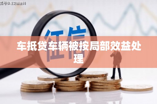 红塔车抵贷车辆被按局部效益处理