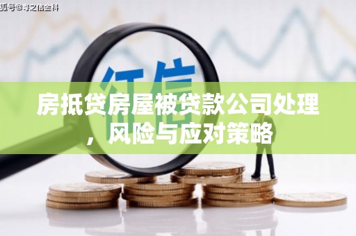 阿莲房抵贷房屋被贷款公司处理，风险与应对策略