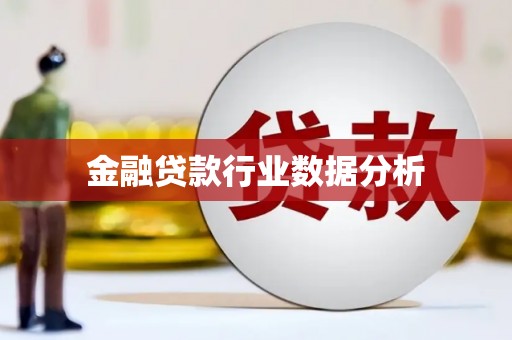 永昌金融贷款行业数据分析