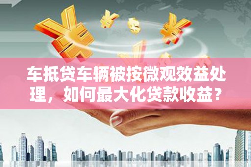 汉源车抵贷车辆被按微观效益处理，如何最大化贷款收益？