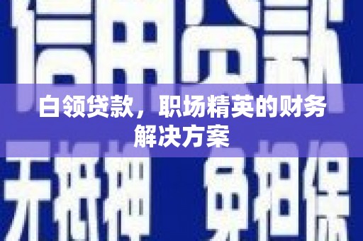 博野白领贷款，职场精英的财务解决方案