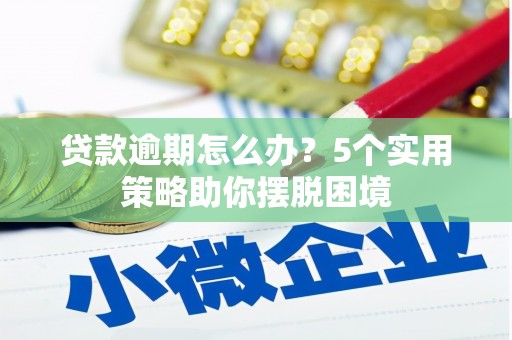 水里贷款逾期怎么办？5个实用策略助你摆脱困境