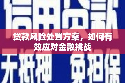 延庆贷款风险处置方案，如何有效应对金融挑战