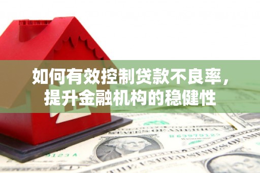汤阴如何有效控制贷款不良率，提升金融机构的稳健性