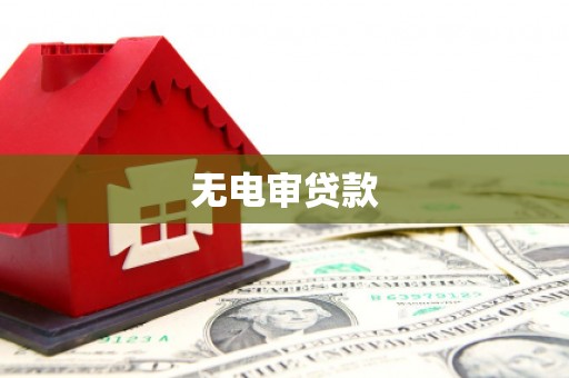 札达无电审贷款