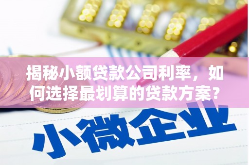 平川揭秘小额贷款公司利率，如何选择最划算的贷款方案？