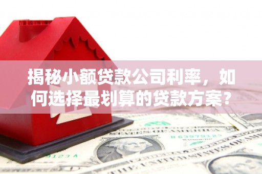 大洼揭秘小额贷款公司利率，如何选择最划算的贷款方案？