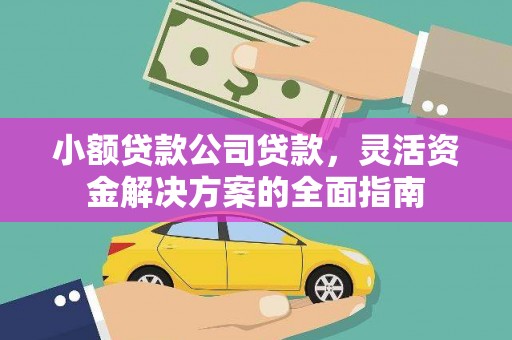 莞城小额贷款公司贷款，灵活资金解决方案的全面指南