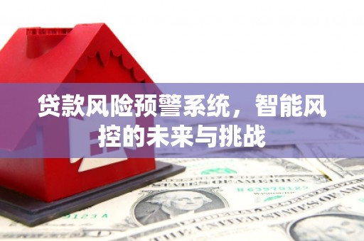 南宫贷款风险预警系统，智能风控的未来与挑战