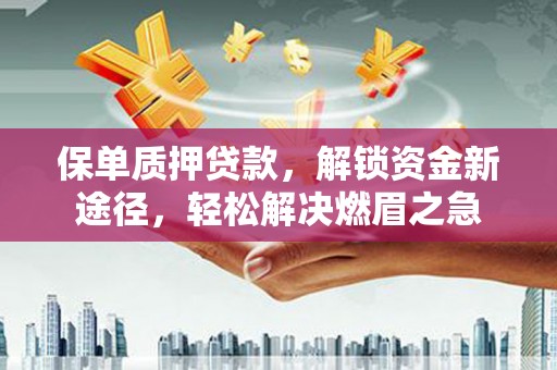苏尼特右旗保单质押贷款，解锁资金新途径，轻松解决燃眉之急