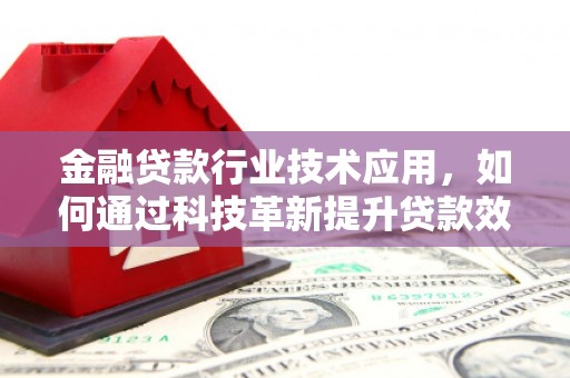 土库金融贷款行业技术应用，如何通过科技革新提升贷款效率