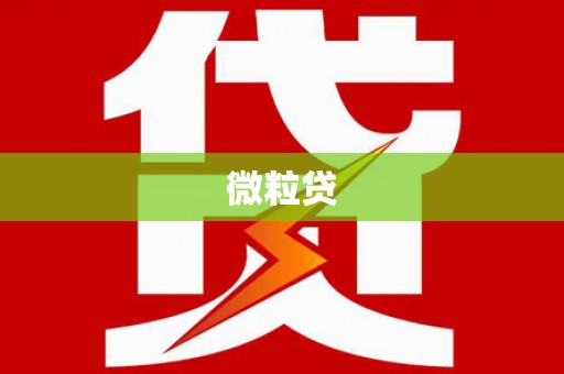 孝南微粒贷