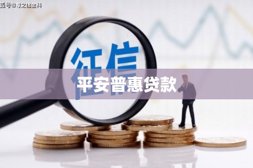 东升平安普惠贷款