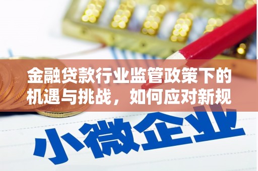 长武金融贷款行业监管政策下的机遇与挑战，如何应对新规？