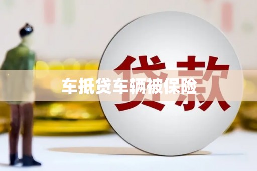 秀林车抵贷车辆被保险