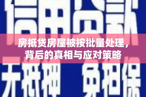 申扎房抵贷房屋被按批量处理，背后的真相与应对策略