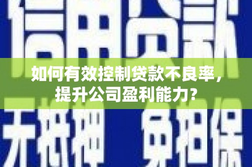 革吉如何有效控制贷款不良率，提升公司盈利能力？