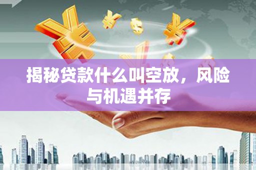海棠揭秘贷款什么叫空放，风险与机遇并存