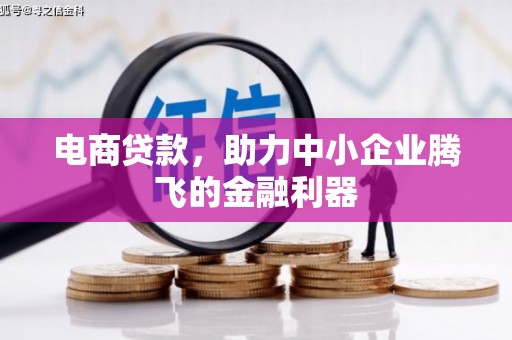 兰陵电商贷款，助力中小企业腾飞的金融利器