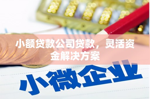 兰陵小额贷款公司贷款，灵活资金解决方案