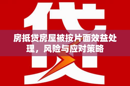 雷波房抵贷房屋被按片面效益处理，风险与应对策略