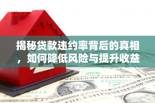 禹会揭秘贷款违约率背后的真相，如何降低风险与提升收益
