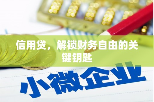 莘县信用贷，解锁财务自由的关键钥匙